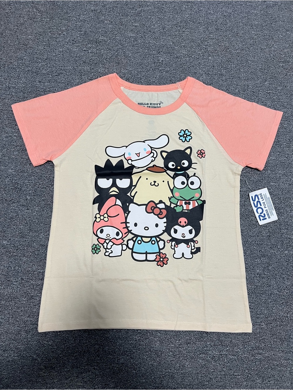 Sanrio Crop Tee with Pink Raglan Sleeves and Character Graphic